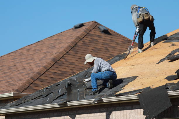 Best Emergency Roof Repair Services  in Pinewood, FL